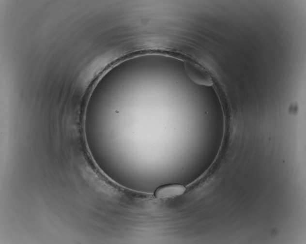 X0000115650930200911101536