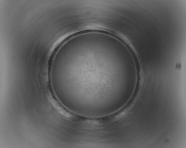 X0000115650931200911101536