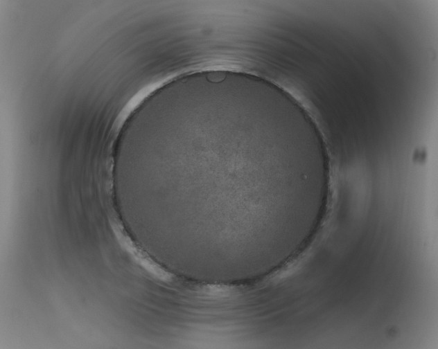 X0000115650933200911101536
