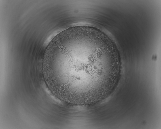 X0000115650937200911101536