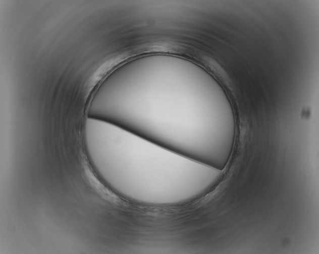X0000115650938200911101536