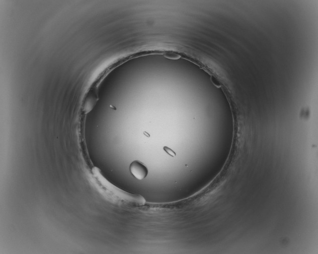 X0000115650942200911101536