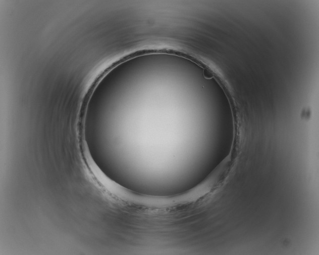 X0000115650943200911101536