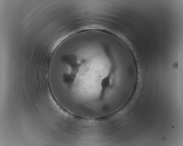 X0000115650945200911101536