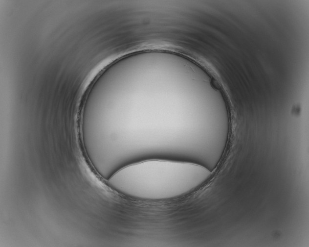X0000115650947200911101536