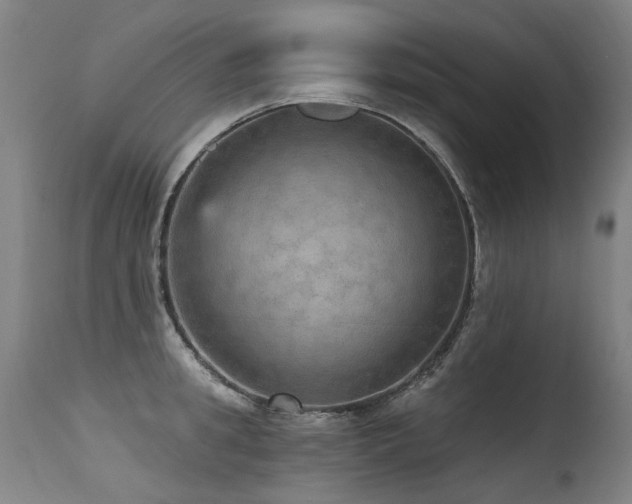 X0000115650949200911101536
