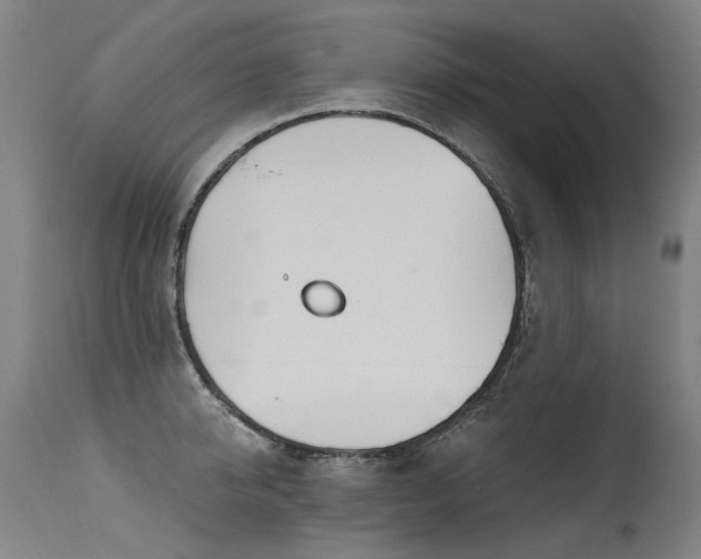 X0000115650950200911101536