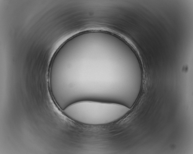 X0000115650951200911101536