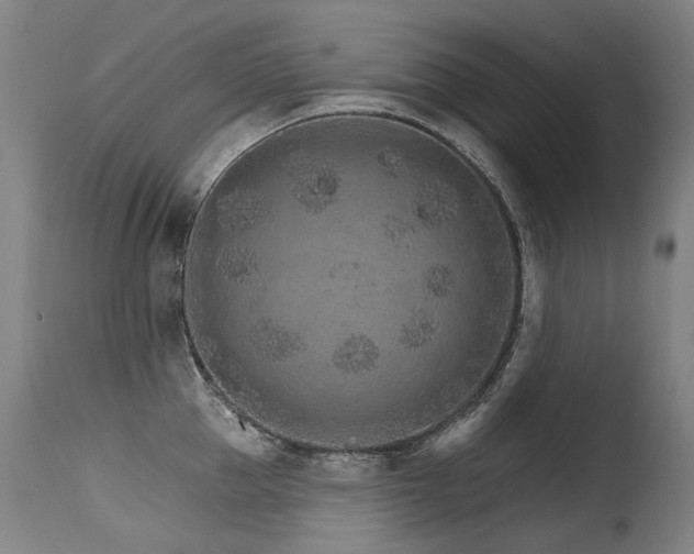X0000115650953200911101536