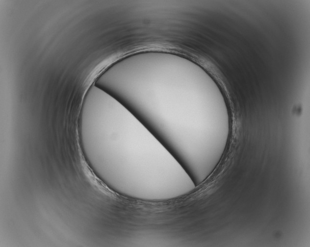 X0000115650954200911101536