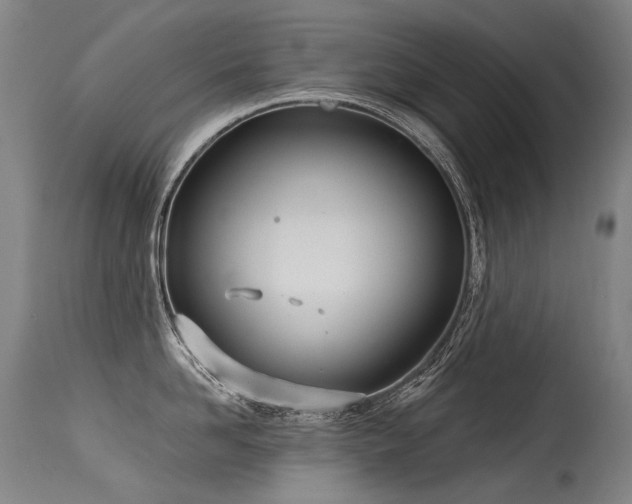X0000115650958200911101536