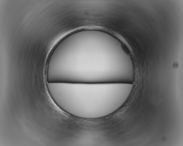 X0000115650959200911101536