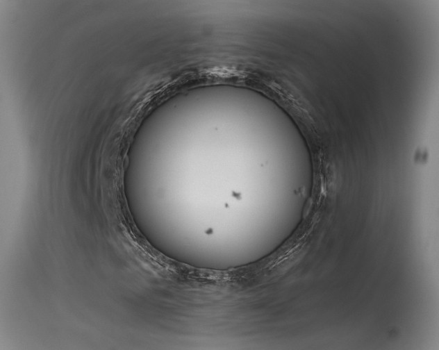 X0000115650961200911101536