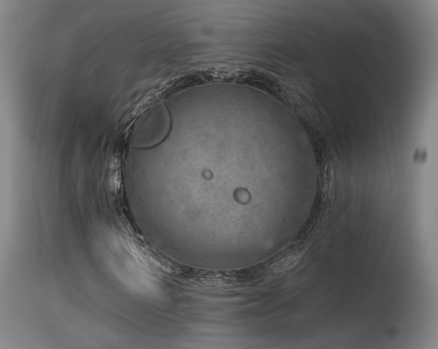 X0000115650962200911101536
