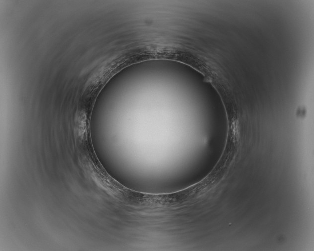 X0000115650963200911101536