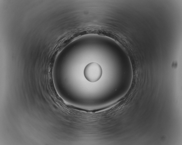X0000115650964200911101536