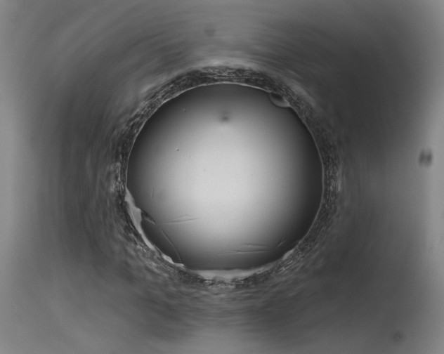 X0000115650965200911101536