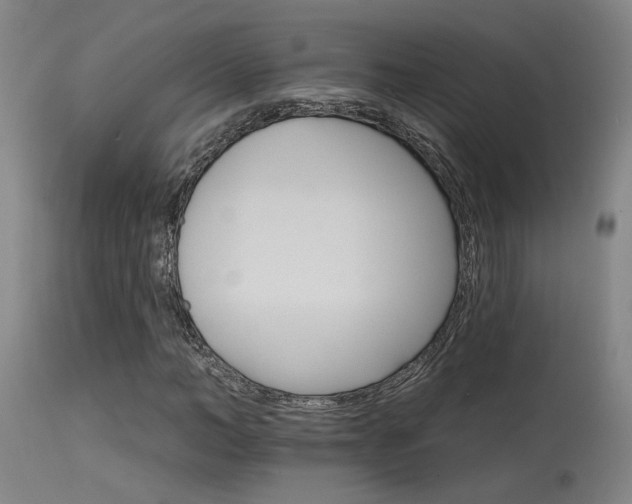 X0000115650966200911101536