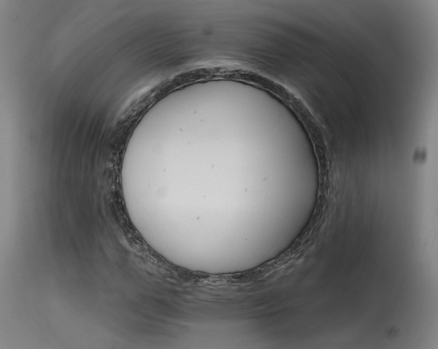 X0000115650967200911101536
