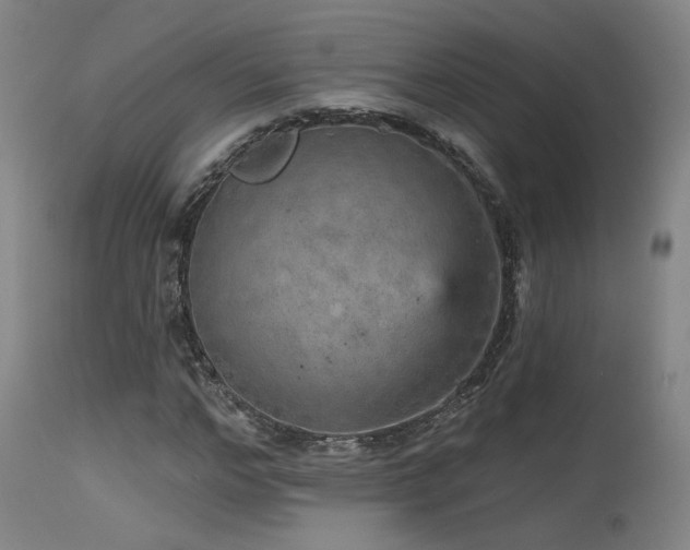 X0000115650968200911101536