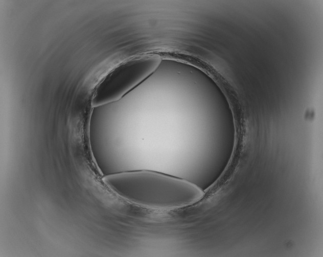 X0000115650969200911101536