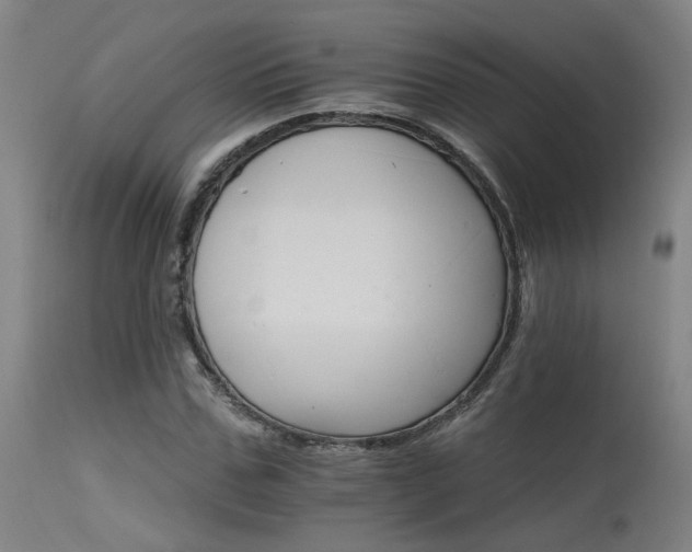 X0000115650971200911101536