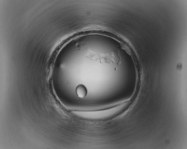 X0000115650973200911101536