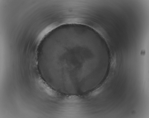 X0000115650974200911101536