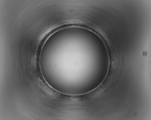 X0000115650975200911101536