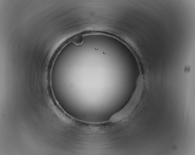 X0000115650976200911101536