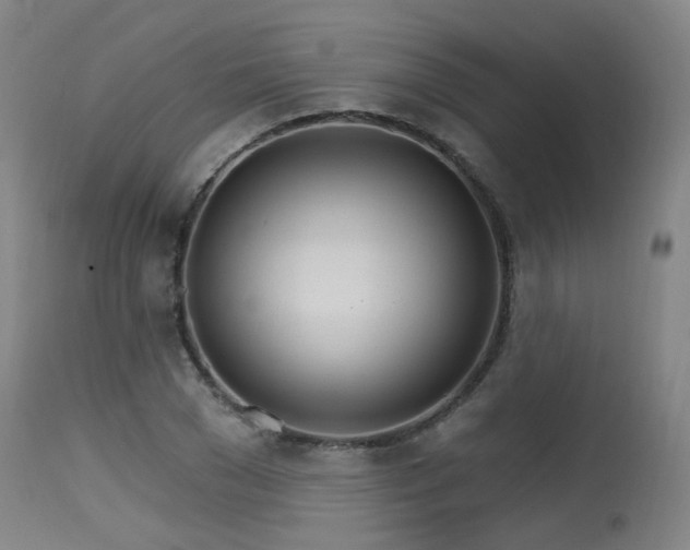 X0000115650977200911101536