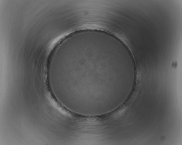 X0000115650979200911101535