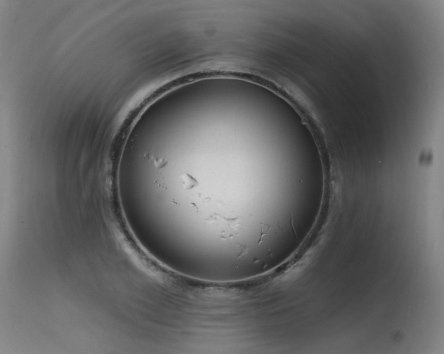X0000115650981200911101535