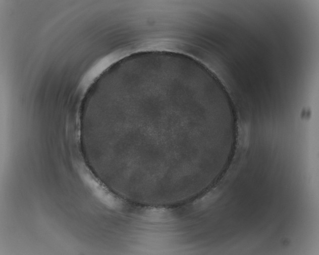 X0000115650982200911101535