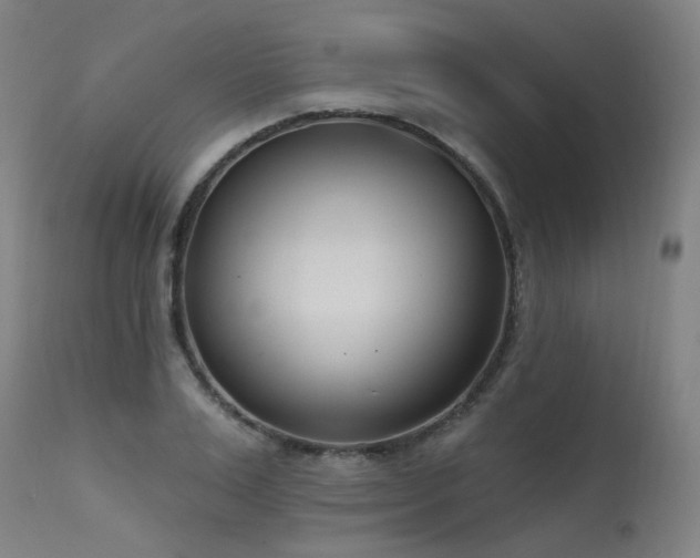 X0000115650983200911101535