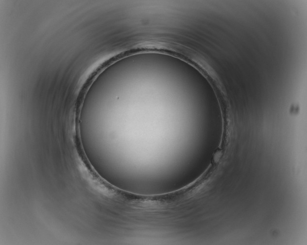 X0000115650984200911101535