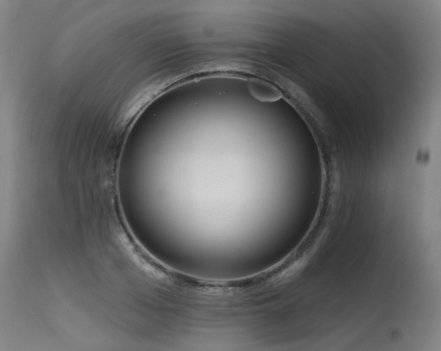 X0000115650985200911101535