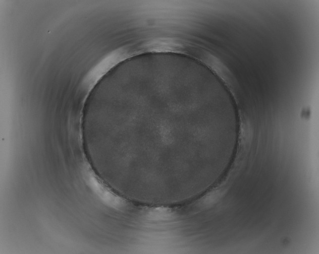 X0000115650986200911101535