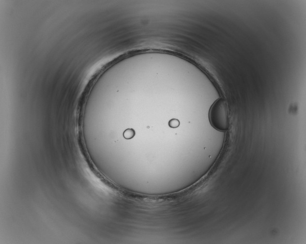 X0000115650987200911101535