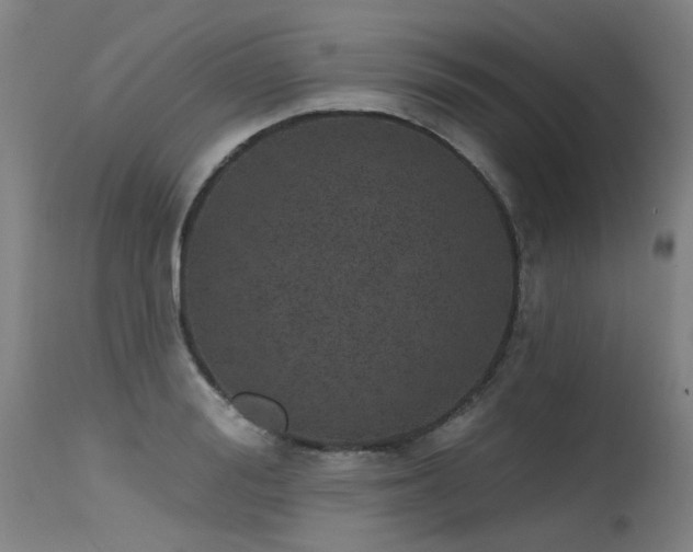 X0000115650988200911101535