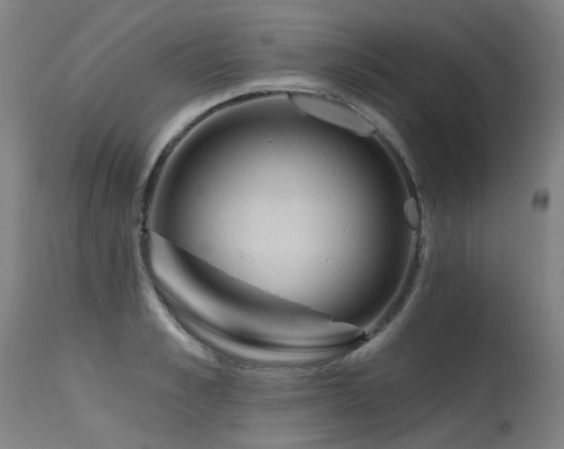 X0000115650989200911101535