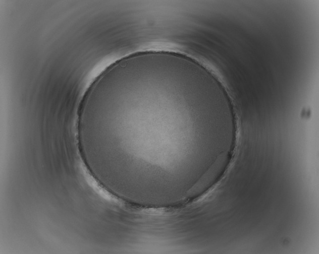 X0000115650990200911101535