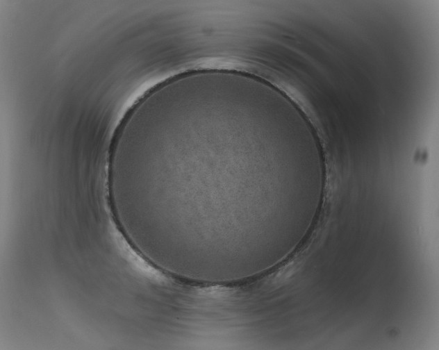 X0000115650992200911101535