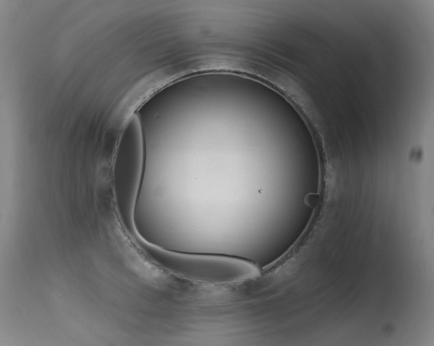 X0000115650993200911101535