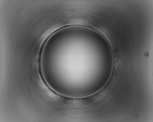 X0000115650995200911101535