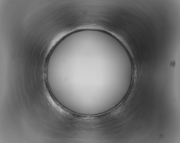 X0000115650998200911101535