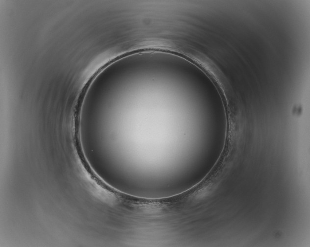 X0000115650999200911101535
