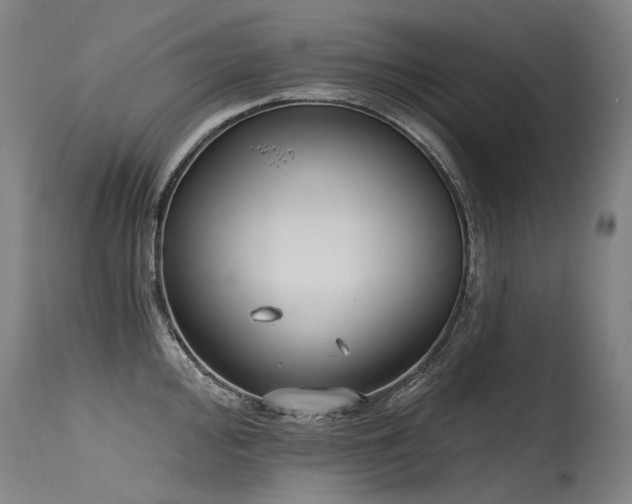 X0000115651000200911101535