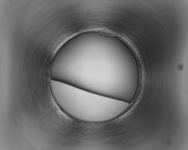 X0000115651001200911101535