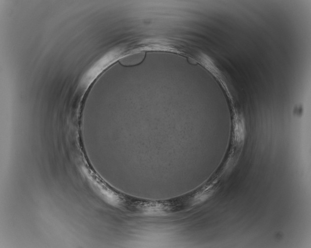 X0000115651002200911101535